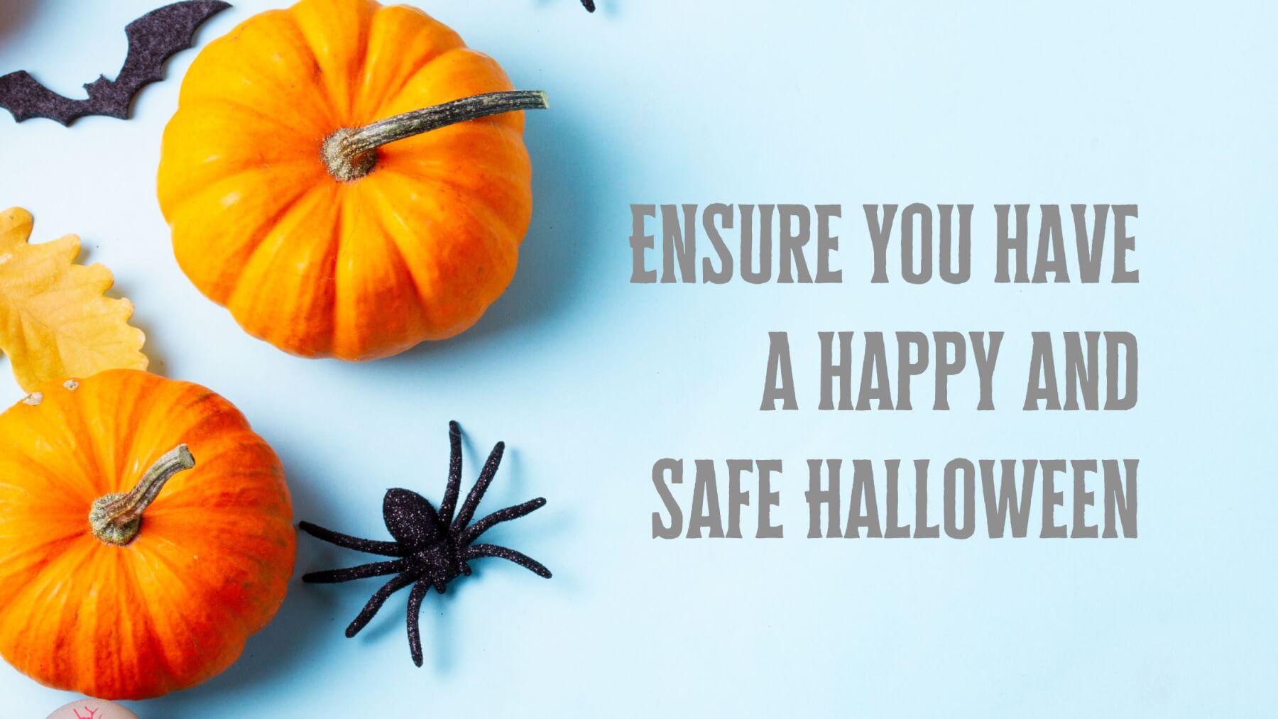 Read more about the article Stay Safe this Halloween